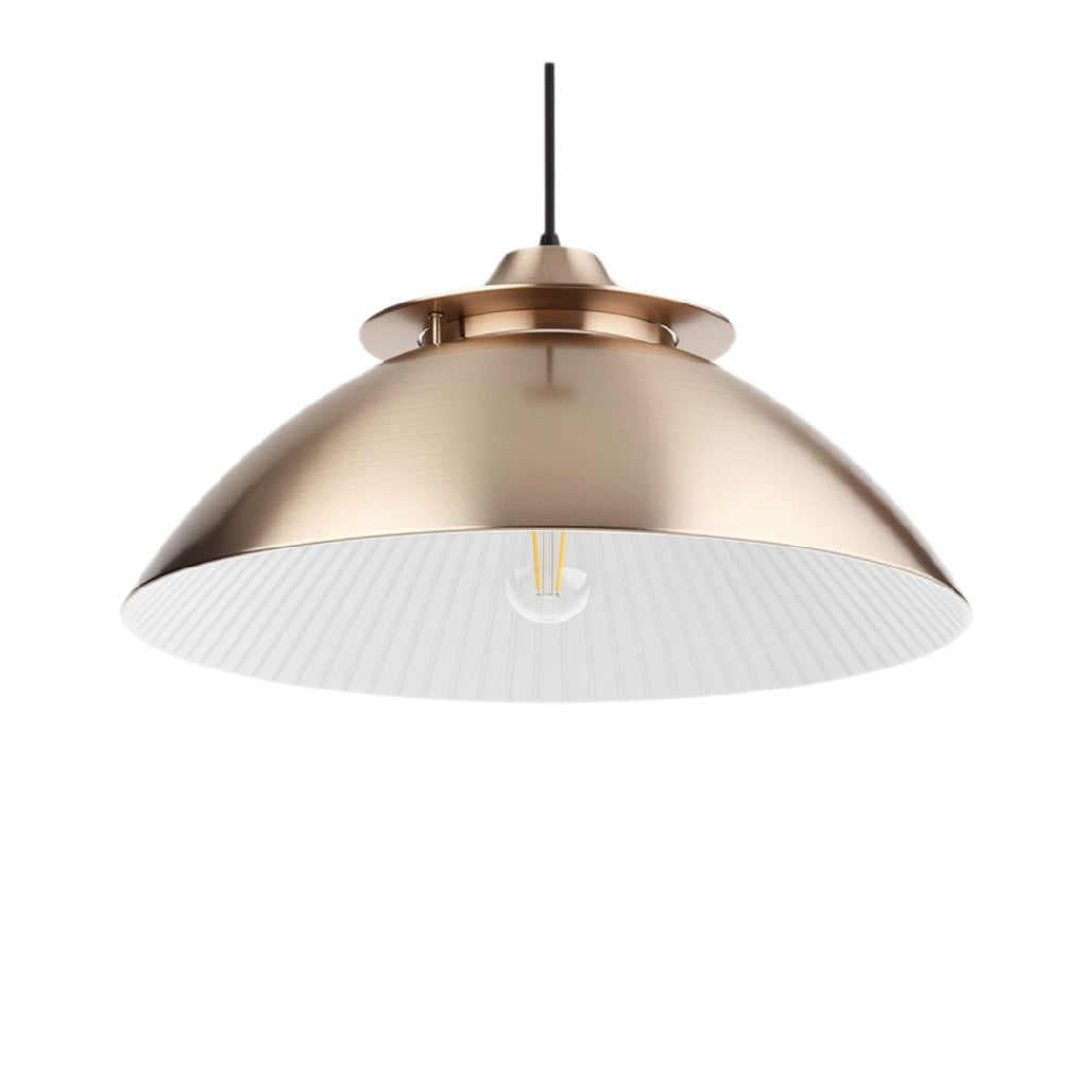 技术标题（荷兰语）： **Stijlvolle Hanglamp met Dubbele Schaal en E26 Fitting**